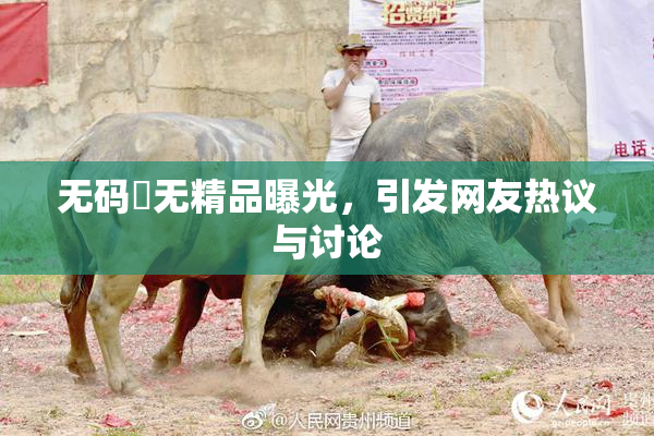 无码囯无精品曝光，引发网友热议与讨论