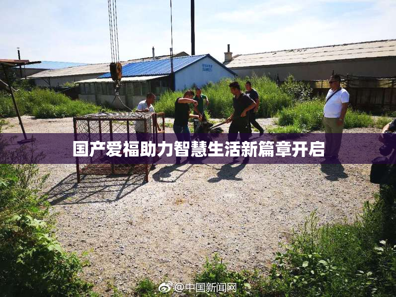 国产爱福助力智慧生活新篇章开启