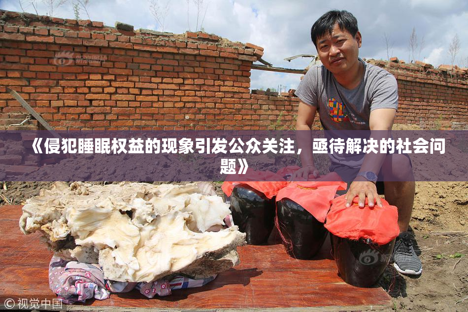 《侵犯睡眠权益的现象引发公众关注，亟待解决的社会问题》