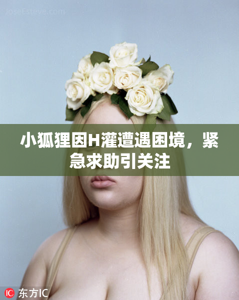 小狐狸因H灌遭遇困境，紧急求助引关注