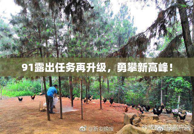 91露出任务再升级，勇攀新高峰！