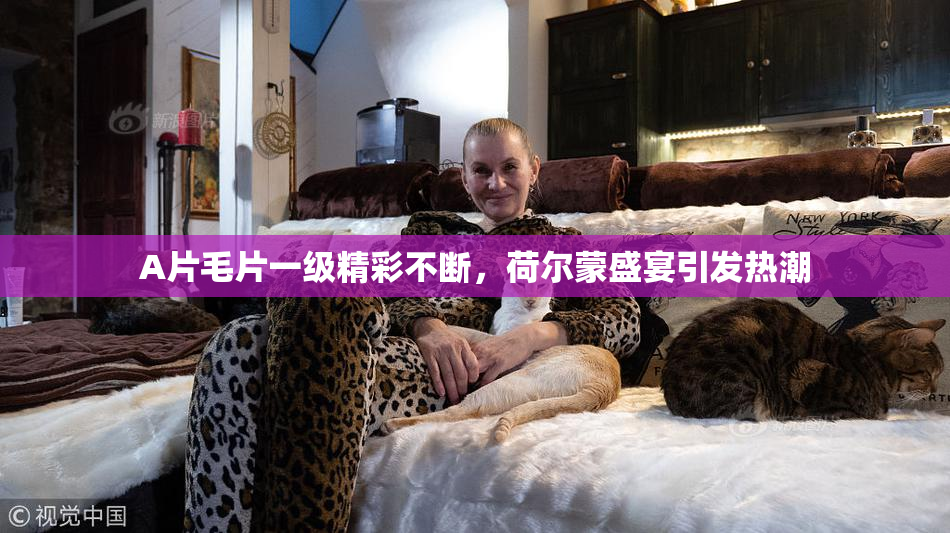 A片毛片一级精彩不断，荷尔蒙盛宴引发热潮