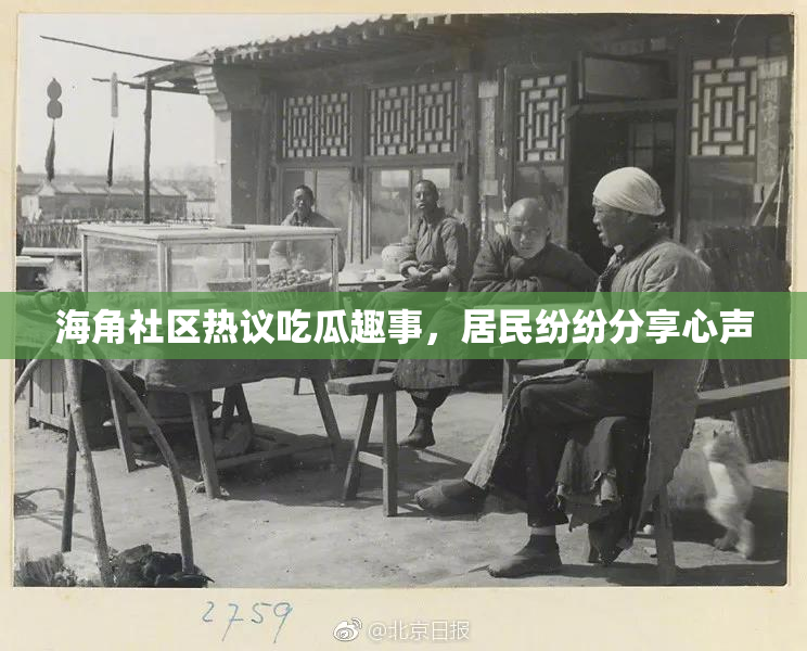 海角社区热议吃瓜趣事，居民纷纷分享心声