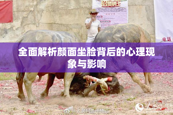 全面解析颜面坐脸背后的心理现象与影响