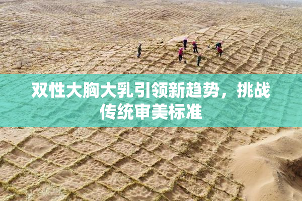 双性大胸大乳引领新趋势，挑战传统审美标准