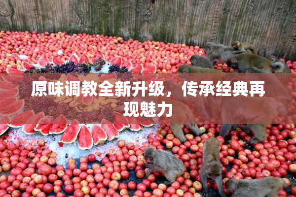 原味调教全新升级，传承经典再现魅力