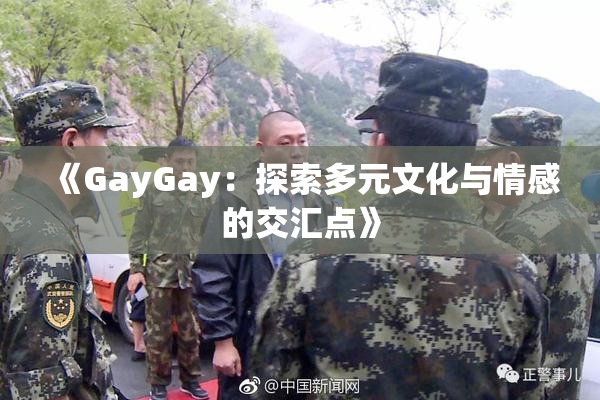 《GayGay：探索多元文化与情感的交汇点》