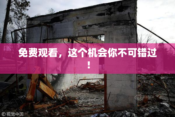 免费观看，这个机会你不可错过！