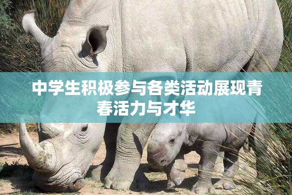 中学生积极参与各类活动展现青春活力与才华