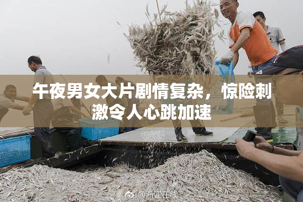 午夜男女大片剧情复杂，惊险刺激令人心跳加速