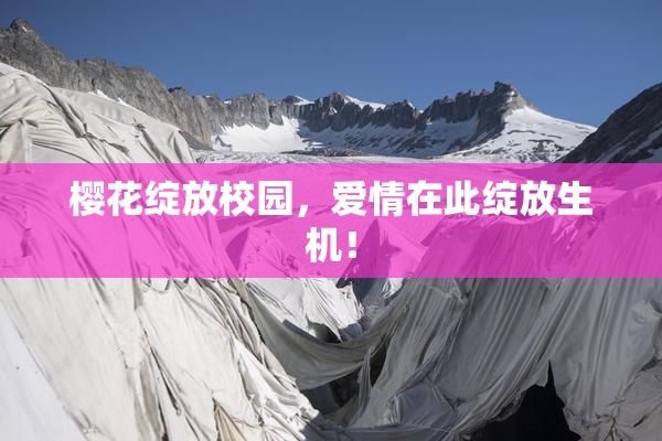 樱花绽放校园，爱情在此绽放生机！