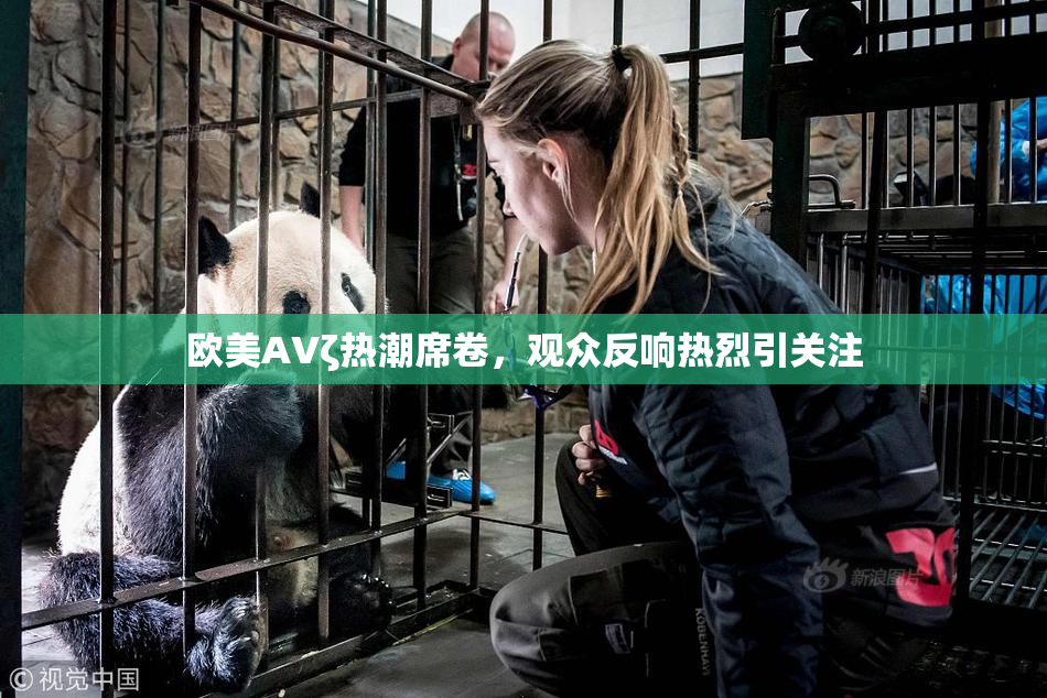 欧美AVζ热潮席卷，观众反响热烈引关注