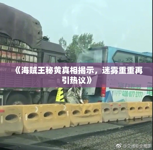 《海贼王秘黄真相揭示，迷雾重重再引热议》