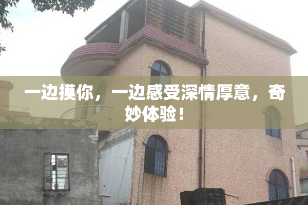 一边摸你，一边感受深情厚意，奇妙体验！
