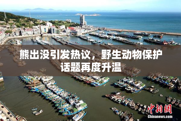 熊出没引发热议，野生动物保护话题再度升温