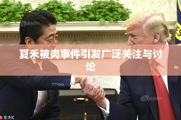 夏禾被肉事件引发广泛关注与讨论