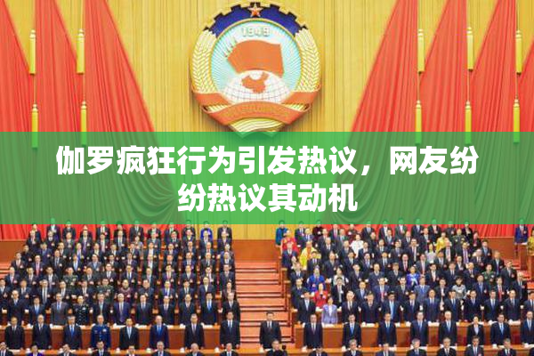 伽罗疯狂行为引发热议，网友纷纷热议其动机
