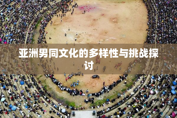 亚洲男同文化的多样性与挑战探讨