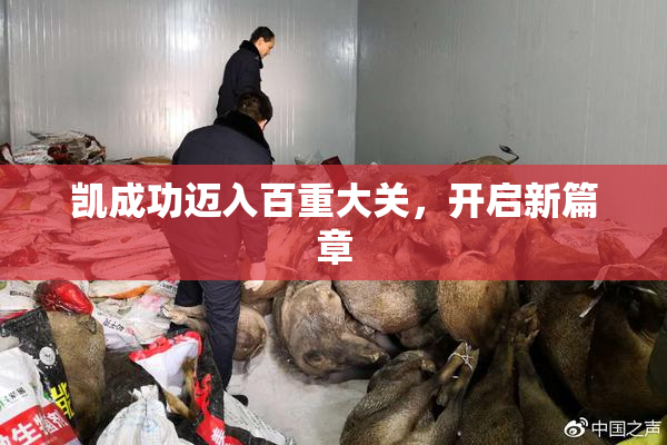 凯成功迈入百重大关，开启新篇章