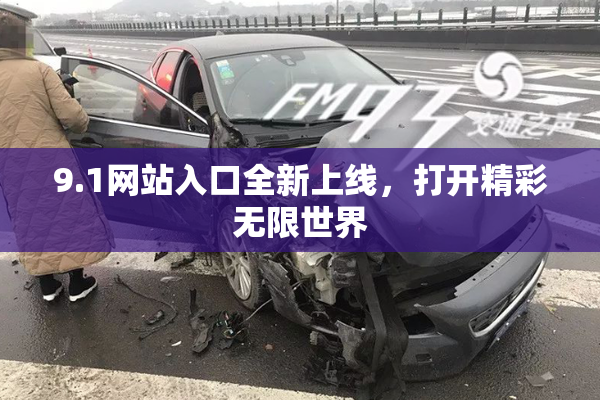 9.1网站入口全新上线，打开精彩无限世界