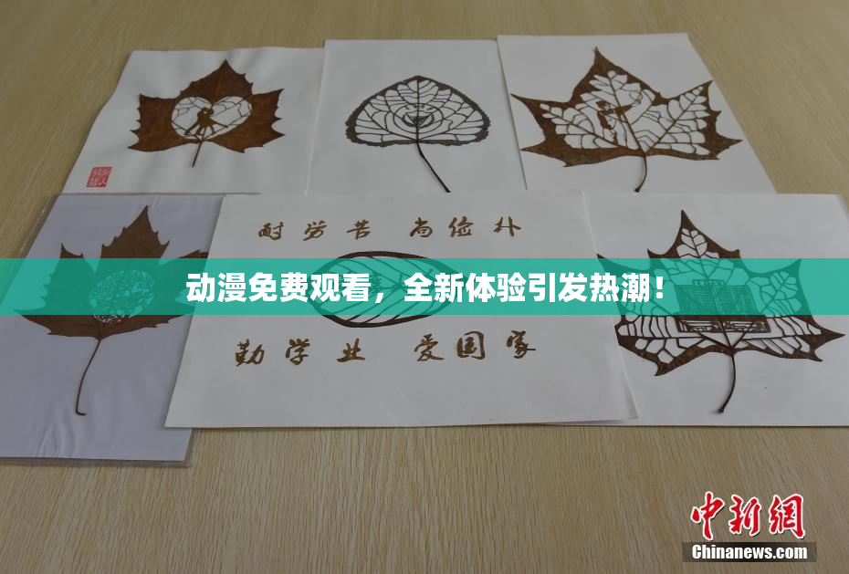 动漫免费观看，全新体验引发热潮！
