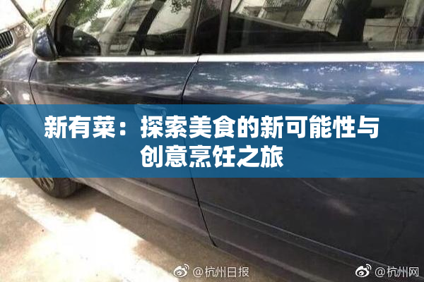 新有菜：探索美食的新可能性与创意烹饪之旅
