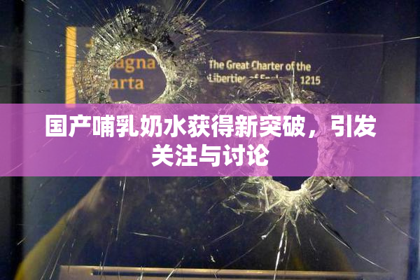 国产哺乳奶水获得新突破，引发关注与讨论