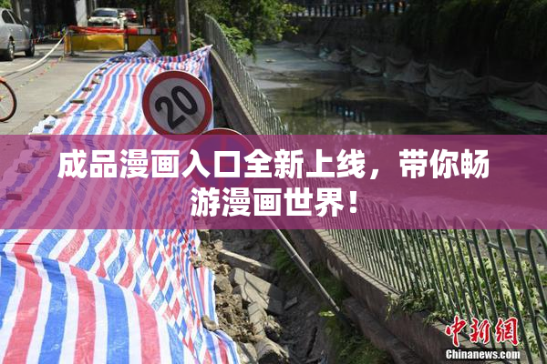 成品漫画入口全新上线，带你畅游漫画世界！