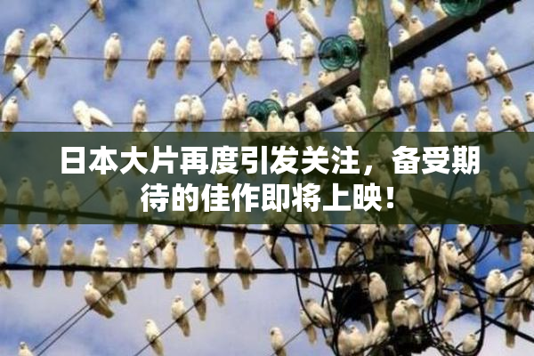 日本大片再度引发关注，备受期待的佳作即将上映！