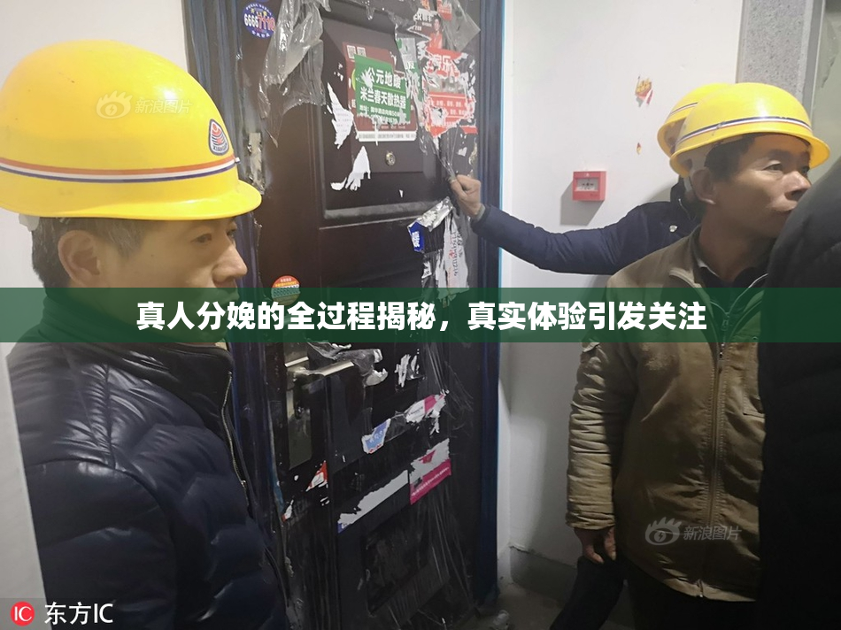 真人分娩的全过程揭秘，真实体验引发关注