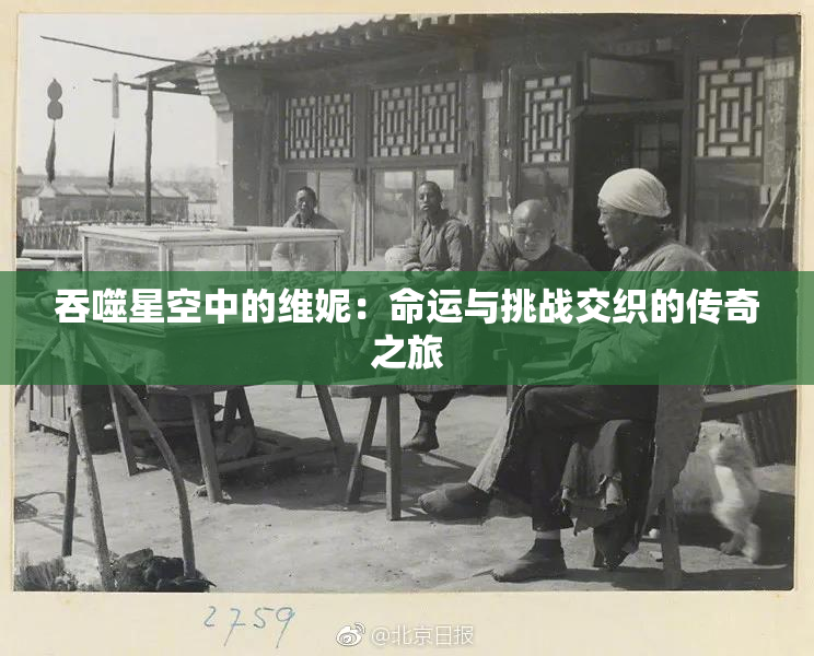吞噬星空中的维妮：命运与挑战交织的传奇之旅