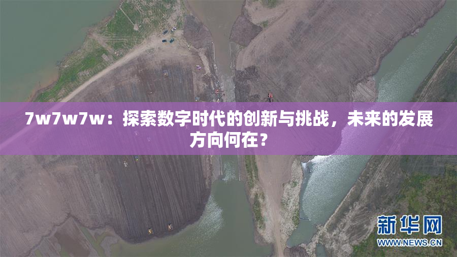 7w7w7w：探索数字时代的创新与挑战，未来的发展方向何在？