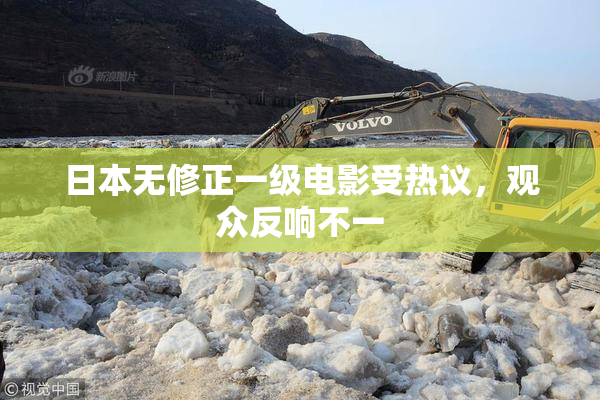 日本无修正一级电影受热议，观众反响不一