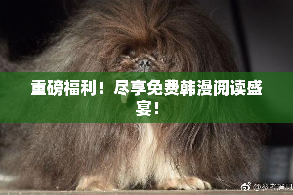 重磅福利！尽享免费韩漫阅读盛宴！