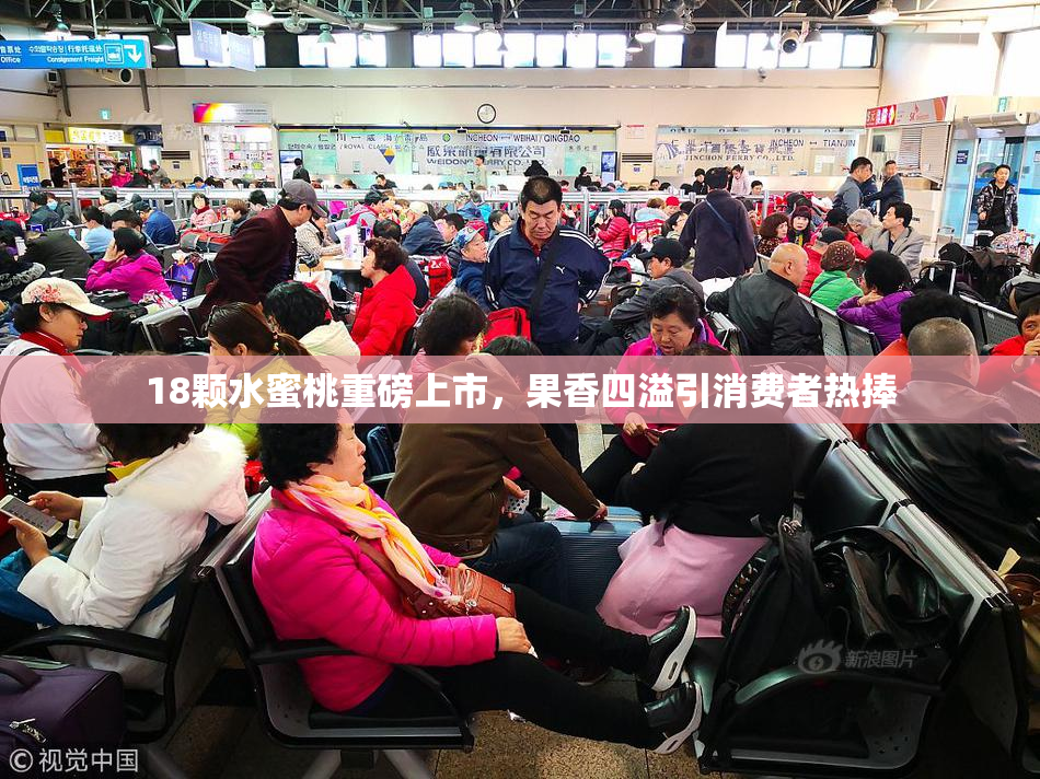18颗水蜜桃重磅上市，果香四溢引消费者热捧
