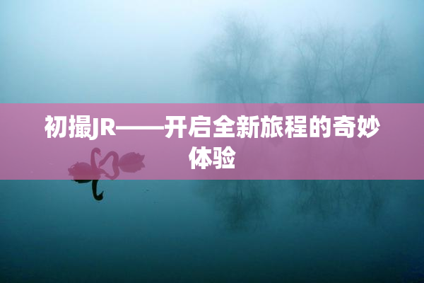 初撮JR——开启全新旅程的奇妙体验