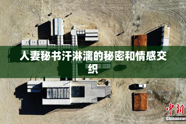 人妻秘书汗淋漓的秘密和情感交织