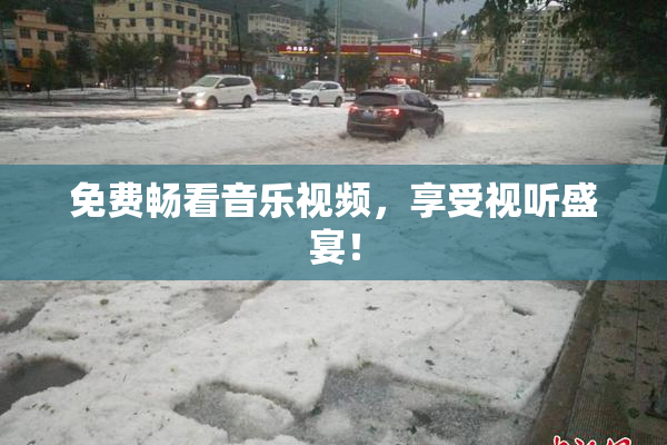 免费畅看音乐视频，享受视听盛宴！
