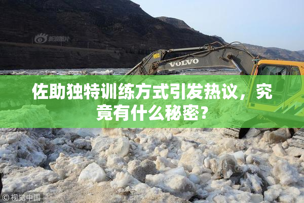 佐助独特训练方式引发热议，究竟有什么秘密？