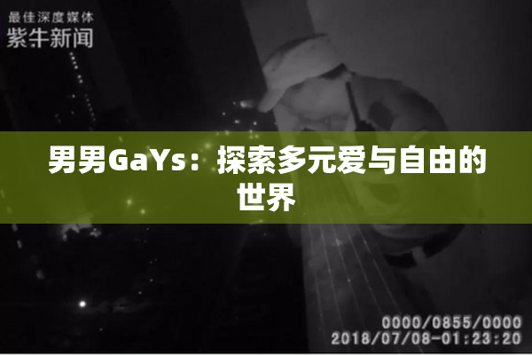 男男GaYs：探索多元爱与自由的世界