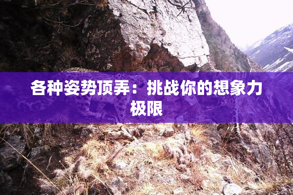 各种姿势顶弄：挑战你的想象力极限