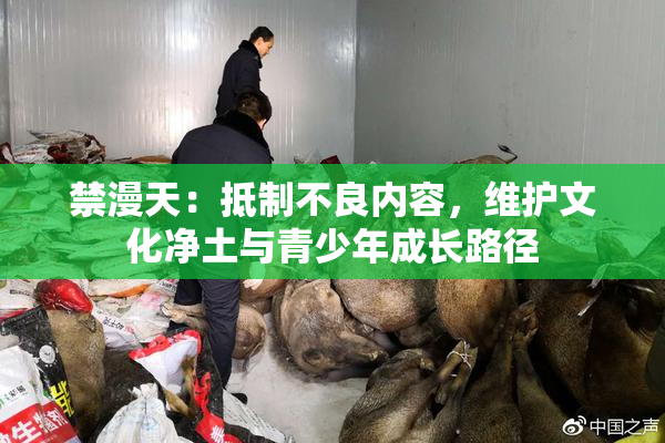 禁漫天：抵制不良内容，维护文化净土与青少年成长路径