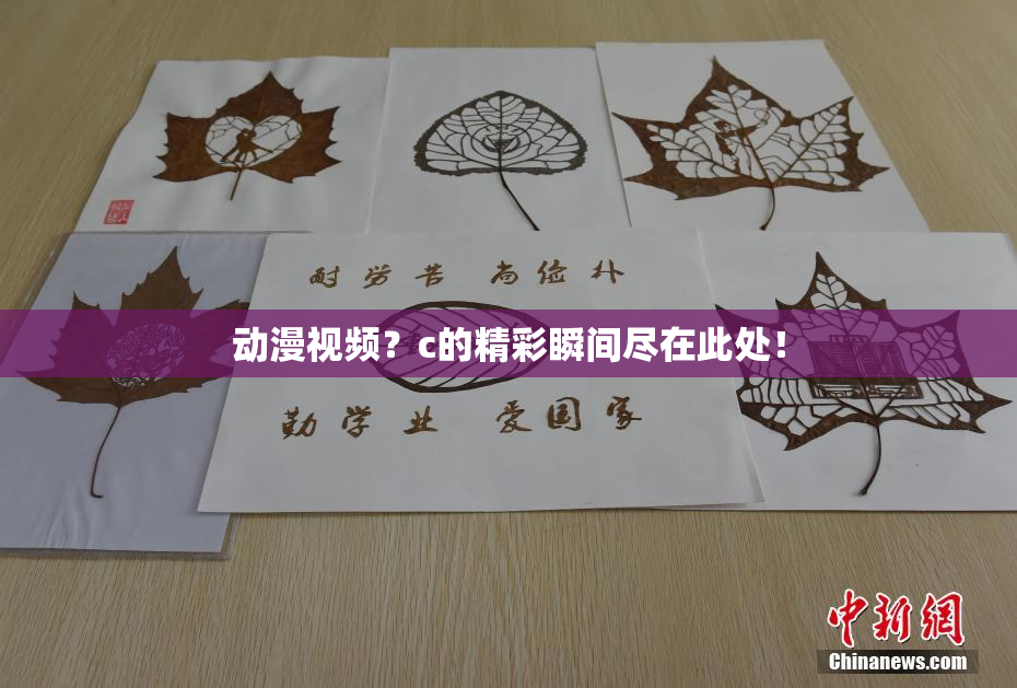 动漫视频？c的精彩瞬间尽在此处！