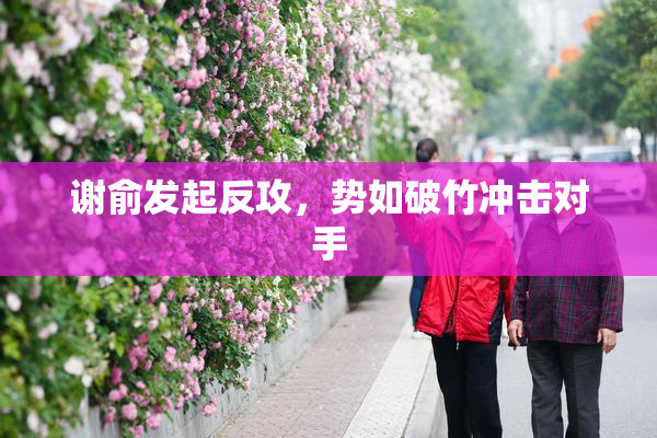 谢俞发起反攻，势如破竹冲击对手