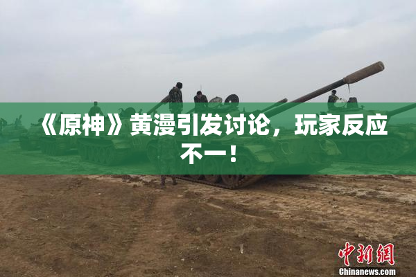 《原神》黄漫引发讨论，玩家反应不一！