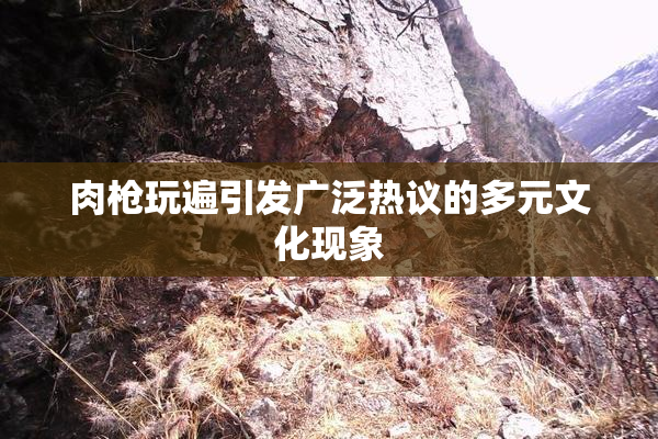 肉枪玩遍引发广泛热议的多元文化现象