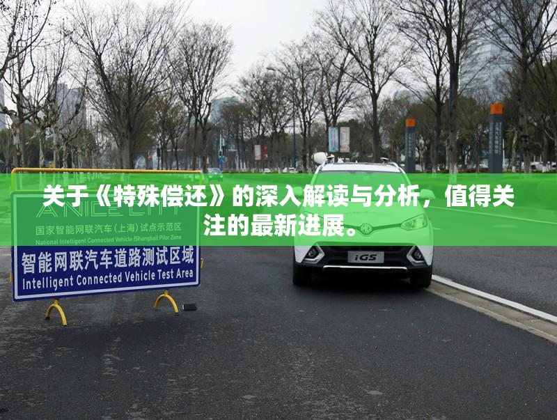 关于《特殊偿还》的深入解读与分析，值得关注的最新进展。