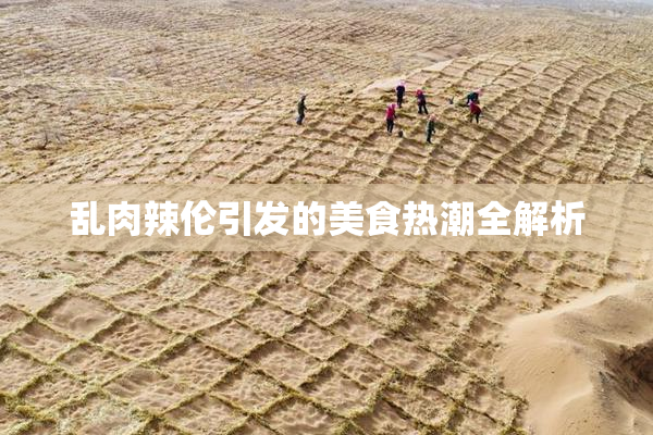 乱肉辣伦引发的美食热潮全解析