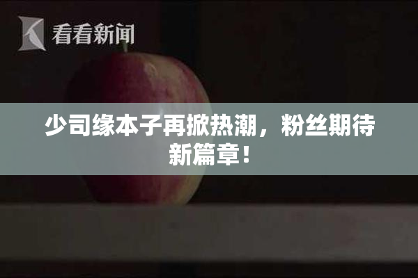 少司缘本子再掀热潮，粉丝期待新篇章！