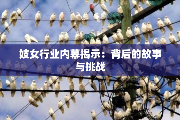 妓女行业内幕揭示：背后的故事与挑战